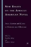 New Essays on the African American Novel