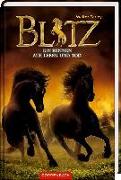 Blitz (Bd. 4)