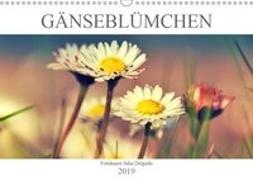 Gänseblümchen Poesie (Wandkalender 2019 DIN A3 quer)