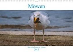 Das wilde Leben der Möwen (Wandkalender 2019 DIN A3 quer)