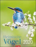 Heimische Vögel Kalender 2020