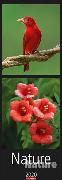 Nature Nature Vertical XXL Kalender 2020