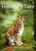 Heimische Tiere Kalender 2020