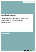 "Von den Juden und ihren Lügen" von Martin Luther. Eine Analyse der Lutherschrift