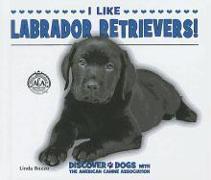 I Like Labrador Retrievers!