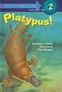 Platypus!