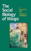 The Social Biology of Wasps