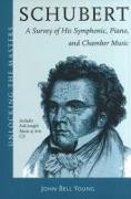 Schubert's Instrumental Music: A Listener's Guide [With CD (Audio)]