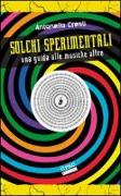 Solchi sperimentali. Una guida alle musiche altre