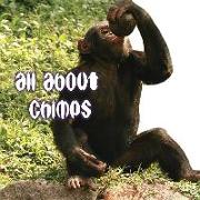 All about Chimps