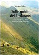 Sulle gobbe del Leviatano