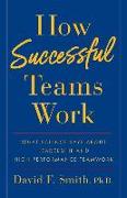 How Successful Teams Work: What Science Says about Leadership and High-Performance Teamwork