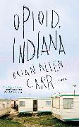 Opioid, Indiana