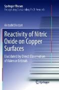 Reactivity of Nitric Oxide on Copper Surfaces