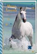 Freundebuch - Pferdefreunde - Pferd am Meer