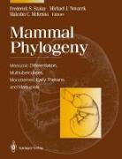 Mammal Phylogeny