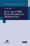 Mechanisms of DNA Damage Recognition in Mammalian Cells