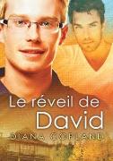 Le Réveil de David