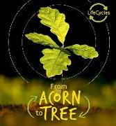 From Acorn to Tree