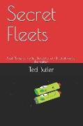 Secret Fleets: Book Three of the Belt Republic with Illustrations by the Author