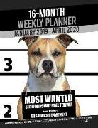 16-Month January 2019- April 2020 Weekly Planner - Most Wanted Staffordshire Bull Terrier: Daily Diary Monthly Yearly Calendar Large 8.5 X 11 Schedule