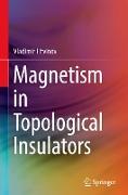 Magnetism in Topological Insulators