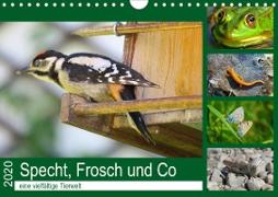Specht, Frosch und Co - eine vielfältige Tierwelt (Wandkalender 2020 DIN A4 quer)