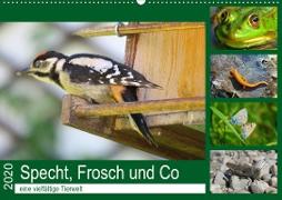 Specht, Frosch und Co - eine vielfältige Tierwelt (Wandkalender 2020 DIN A2 quer)