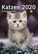 Wochenkalender Katzen 2020