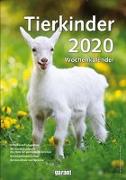 Tierkinder 2020 Wochenkalender