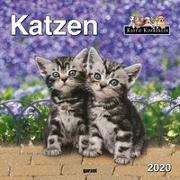 Keith Kimberlin Katzen 2020 - Monatskalender