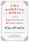 The Working Horse - A Guide on Equestrian Knowledge with Information on Shire and Carriage Horses