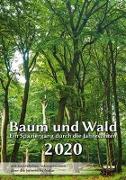 Baum und Wald 2020