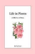 Life in Pieces