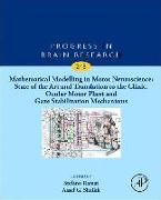 Mathematical Modelling in Motor Neuroscience: State of the Art and Translation to the Clinic. Ocular Motor Plant and Gaze Stabilization Mechanisms