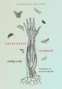 Catechesis: A Postpastoral