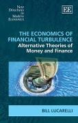 The Economics of Financial Turbulence