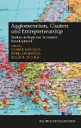 Agglomeration, Clusters and Entrepreneurship