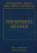 Path Dependence and Lock-In