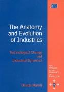 The Anatomy and Evolution of Industries