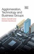 Agglomeration, Technology and Business Groups