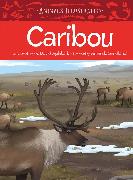 Animals Illustrated: Caribou