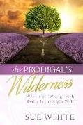 The Prodigal's Wilderness: When the "wrong" Path Really Is the Right Path