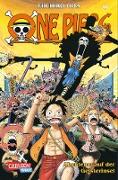 One Piece, Band 46
