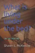 What Is Living Under the Bed?: The Fae: Book One