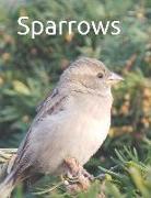 Sparrows: Senior Reader Study Bible Reading in Extra-Large Print for Memory Care with Colorful Photos, Reminiscence Questions, a