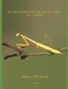 Praying Mantises of the United States and Canada