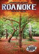 Roanoke: The Lost Colony