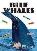 Blue Whales