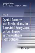 Spatial Patterns and Mechanisms for Terrestrial Ecosystem Carbon Fluxes in the Northern Hemisphere